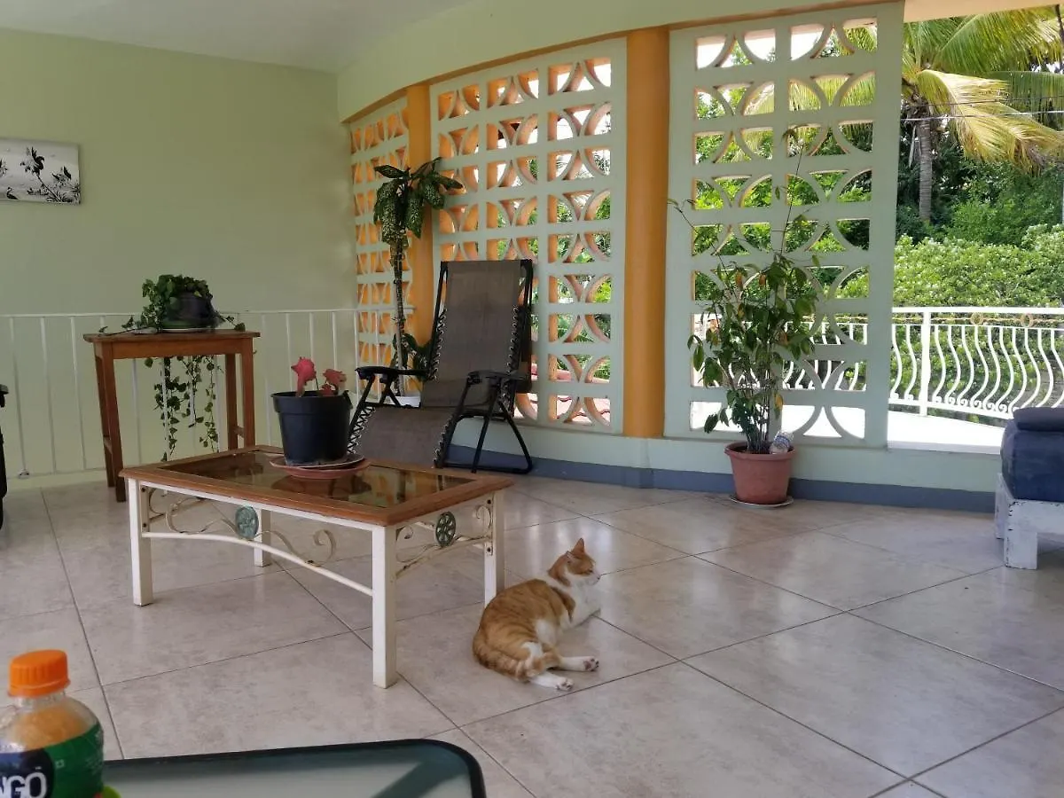 Guest house Chaudhry House Montego Bays- 2Nd Floor Apt